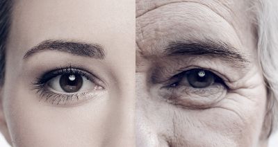 Age Difference Calculator